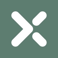 Experis México Logo