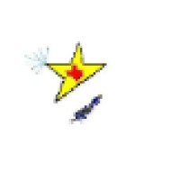 Texas Enforcer LLC. Logo