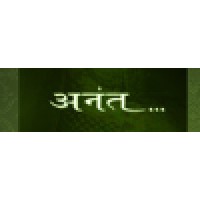 Anant International Logo