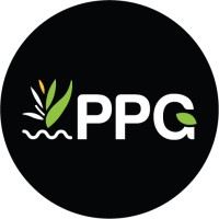 Premium Pools & Gardens Pty Ltd Logo