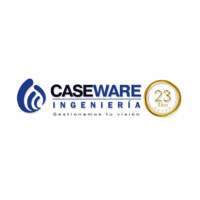 Caseware Ingeniería S.A.S. Logo