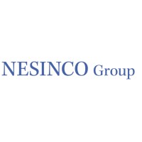 NESINCO Group Logo