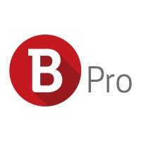 B-Pro Ltd. Logo