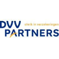 DVV PARTNERS Logo