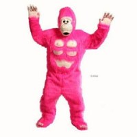 Chicago Singing Telegrams & Birthday Party Costumed Characters Indiana Logo