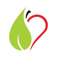 Team Up Health & Wellness Logo