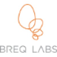 BreqLabs Logo