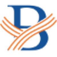 BrickWin Consultancy Services Logo