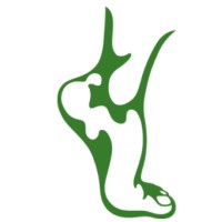 Advanced Foot And Ankle Care Centers Logo