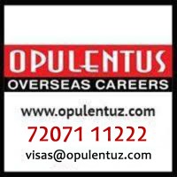OPULENTUS - THE VISA COMPANY Logo
