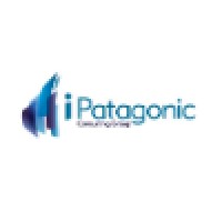 iPatagonic Consulting Group Logo
