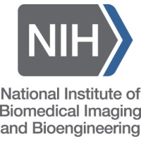 National Institute of Biomedical Imaging and Bioengineering (NIBIB) Logo