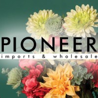 Pioneer Imports & Wholesale Logo