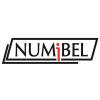 NUMIBEL CABINET DE REVISEURS DENTREPRISES - BEDRIJFSREVISORENKANTOOR Logo