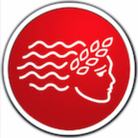 American INSIGHT Logo