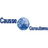 Causse Ingenieros Civiles Asociados S.A Logo