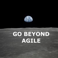 Elegant Agile Transformation Logo