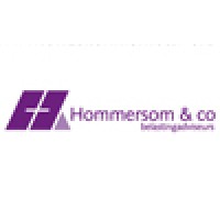 ALH Hommersom & co belastingadviseurs Logo