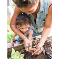 Farm to Keiki Logo