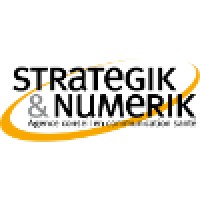 Strategik & Numerik Logo