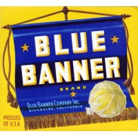 Blue Banner Company Inc Logo