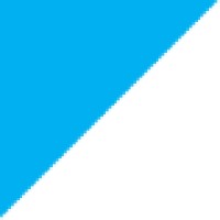 BRENKMAN & Company Logo