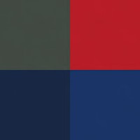 MFN Consulting Group Logo