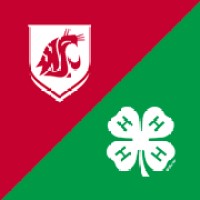 WSU Extension King County 4-H Logo