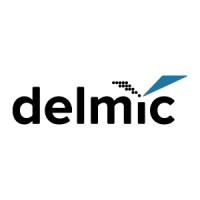 Delmic Logo