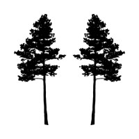 Two Pines Marketing Group LLC Logo