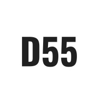 DIGITAL55 Logo