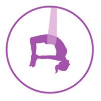 FlyGirl Corporation Logo