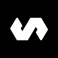 Visible Noize Logo