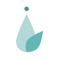 Morphology Visuals Logo