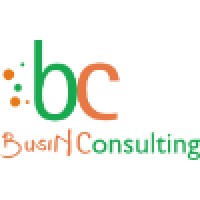 BusiN Consulting Logo