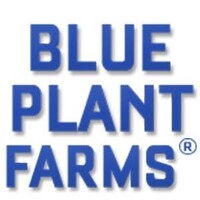 Blue Plant Farms Logo