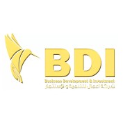 BDI Holding Logo