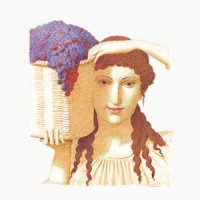 Fattoria di Montemaggio S.r.l Logo