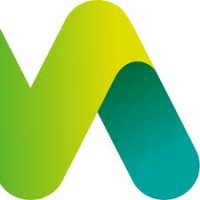 Mint Technology Logo