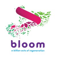 Bloom Network Logo