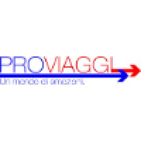 PROVIAGGI srl Logo