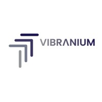 Vibranium Holdings Logo