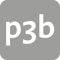 p3b ag Logo