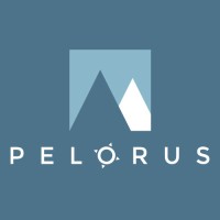 Pelorus Consulting Logo