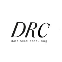 Data Rebel Consulting Logo