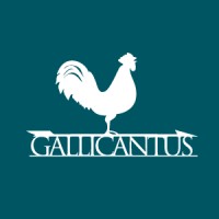 Gallicantus Italia Logo