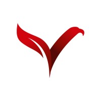 VERMILION GROUP Logo