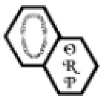 Oral Restorative Prosthetics Logo