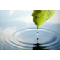 Stillpoint Holistic Studio Logo