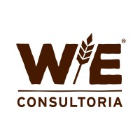 WE Consultoria Logo